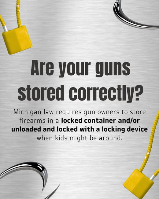 MALPH Are your guns stored correctly ENG 5.23.2025