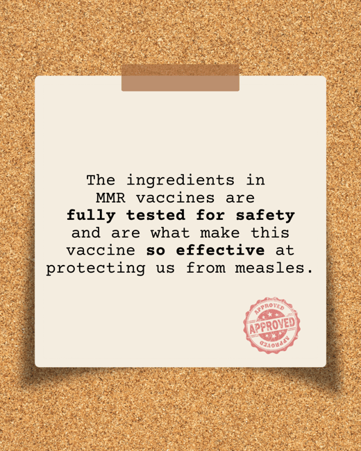The ingredients in MMR vaccines are fully tested for safety and are what makes this vaccines so effective at protecting us from measles